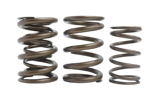 SR16/20VE PACALOY Race Spring Set