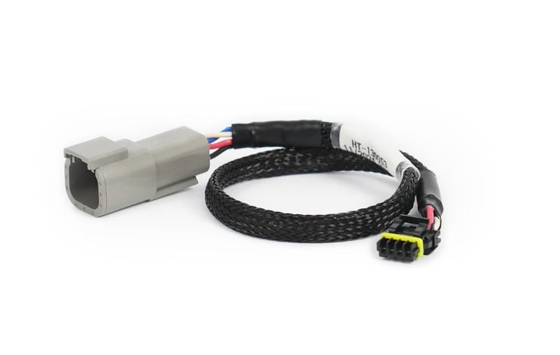 CAN Adaptor Loom DTM-4 to Molex Mizu-P25 - Suits Holley - HT-130053