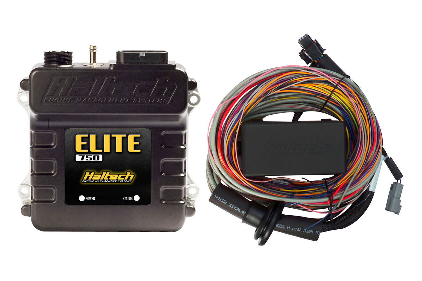 Haltech Elite 750 + Premium Universal Wire-in Harness Kit Length: 2.5m (8') - HT-150604