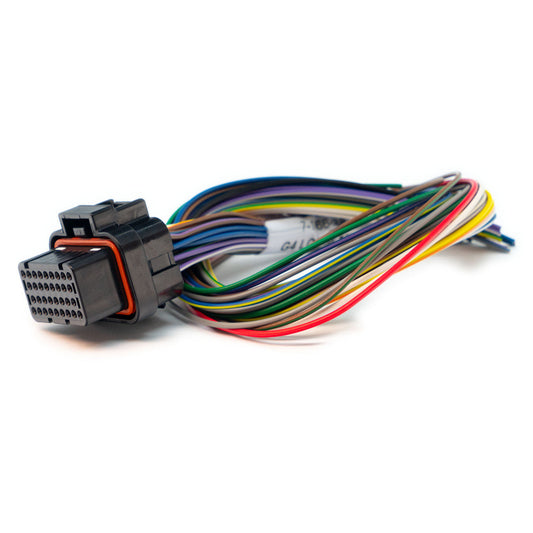 Link B Loom Short (0LB) - 101-0003