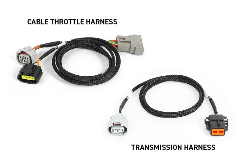Haltech NEXUS Rebel JZ - HT-220205