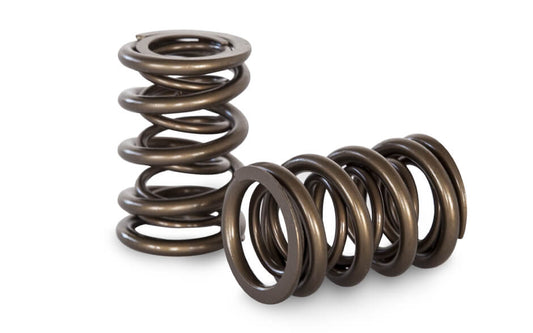 Honda H22A Race Dual Spring Set